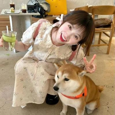 古玩鬼